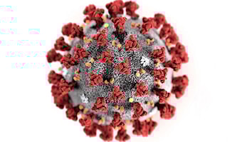 All organisert aktivitet innstilt